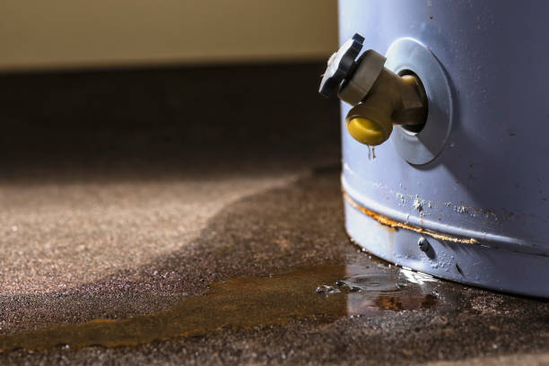 Best Crawl Space Water Damage Solutions in USA