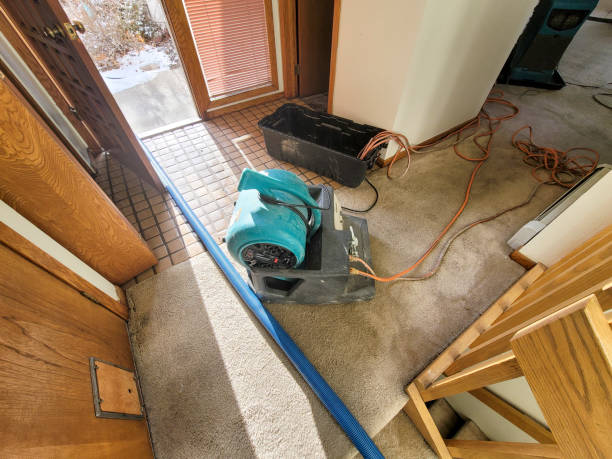 Best Odor Removal and Sanitization After Water Damage in USA